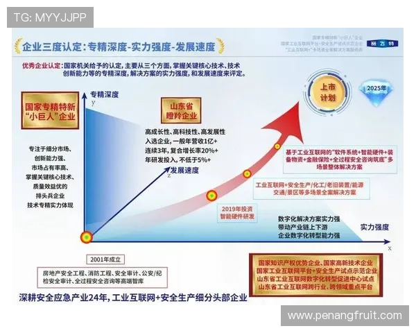 聚焦青岛企业家创新驱动引领城市高质量发展战略路径体系探索研究